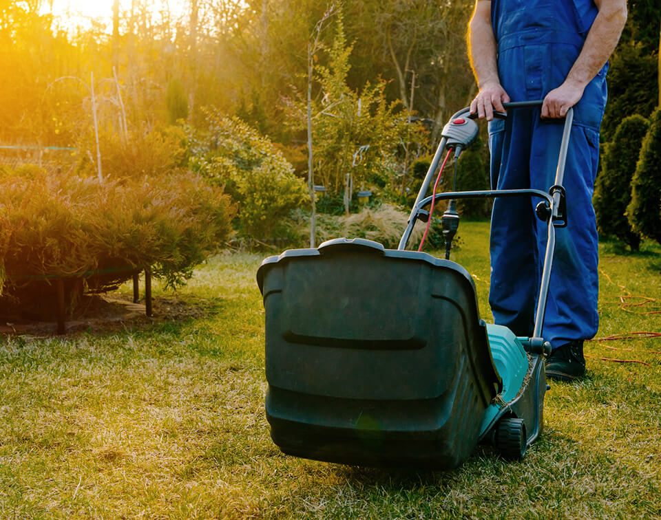 Landscaping Company