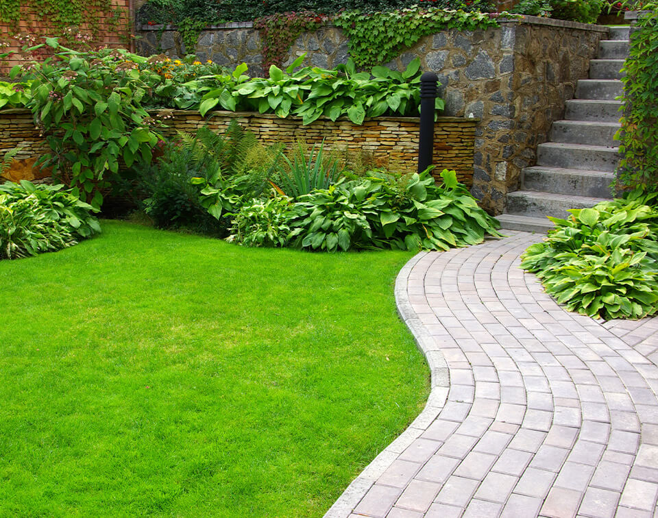 Lawn Care Services